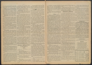 gazeta radomska-1884-15-00002